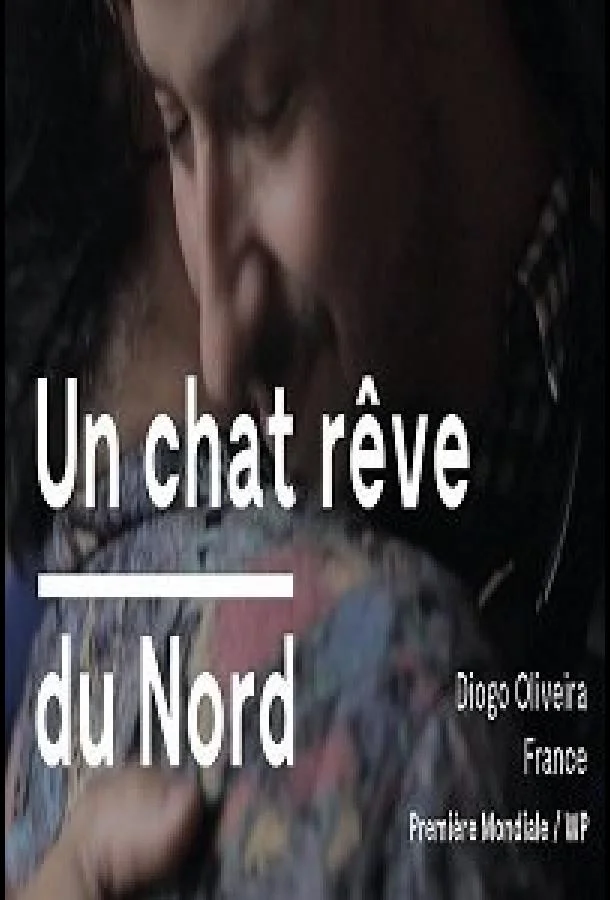 Кот, мечтающий о севере 2020 смотреть фильм онлайн бесплатно